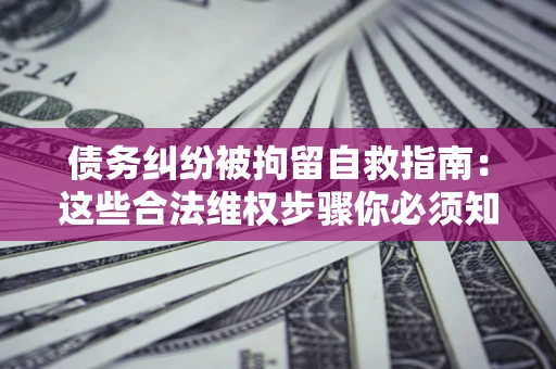 济南债务纠纷被拘留自救指南：这些合法维权步骤你必须知道！