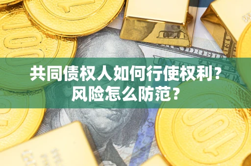 济南共同债权人如何行使权利？风险怎么防范？