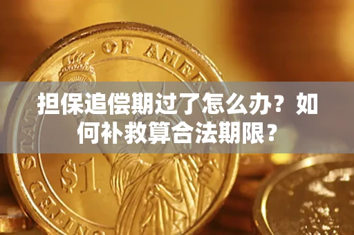 济南担保追偿期过了怎么办？如何补救算合法期限？