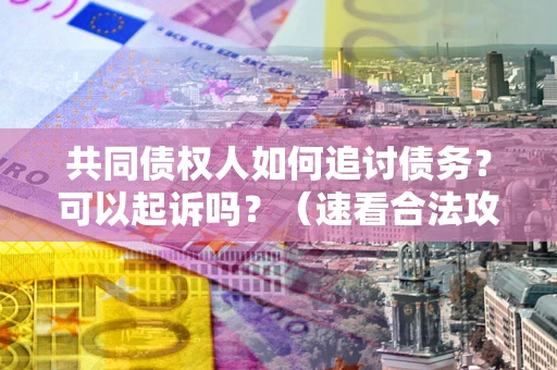 济南共同债权人如何追讨债务？可以起诉吗？（速看合法攻略）